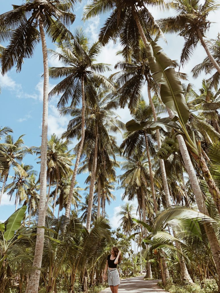 Road to the beach