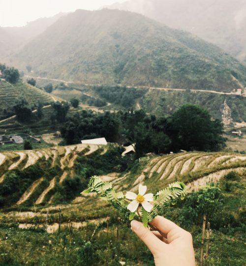 Processed with VSCO with g3 preset